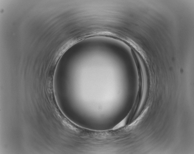 X0000069411001200605192259