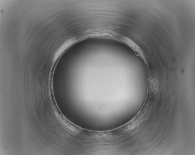 X0000069411002200605192259