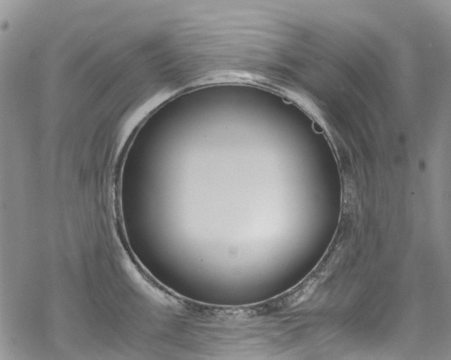 X0000069411003200605192259