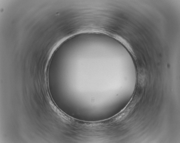 X0000069411004200605192259