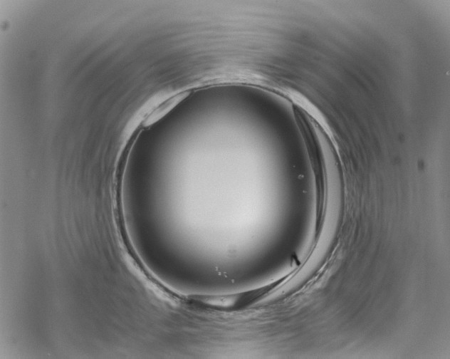 X0000069411005200605192259