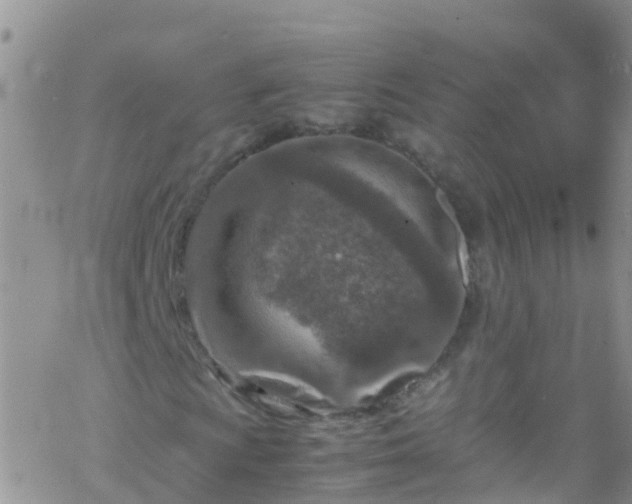 X0000069411009200605192258