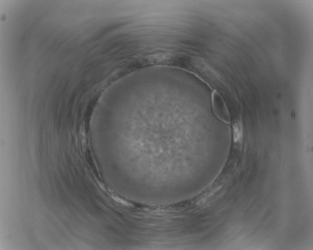 X0000069411011200605192258