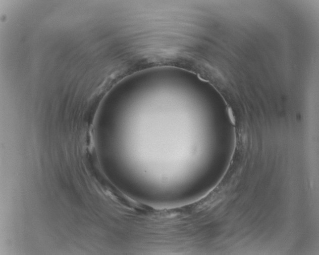 X0000069411012200605192258