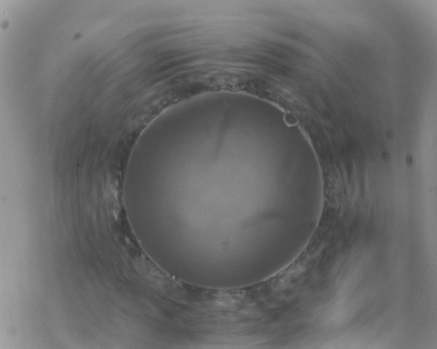 X0000069411013200605192258