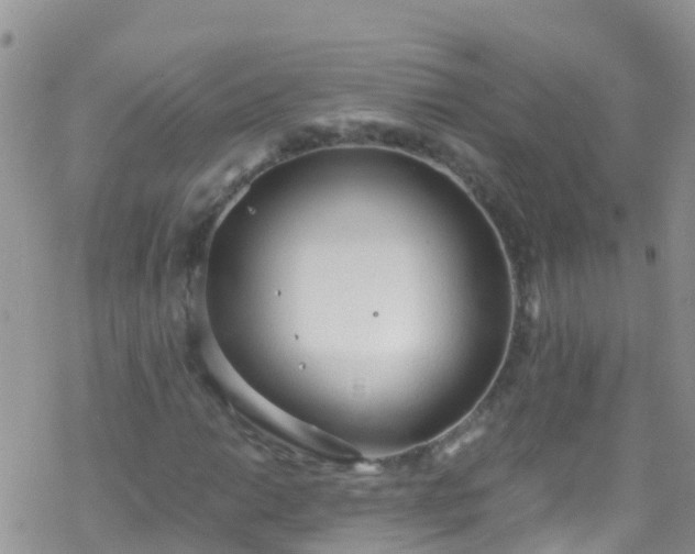 X0000069411014200605192258