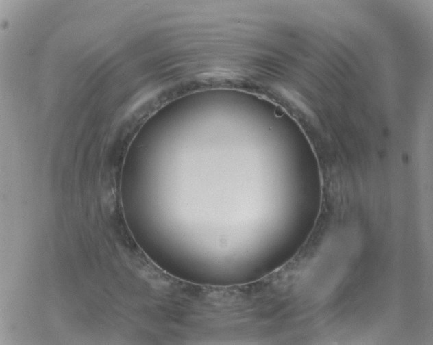 X0000069411015200605192258