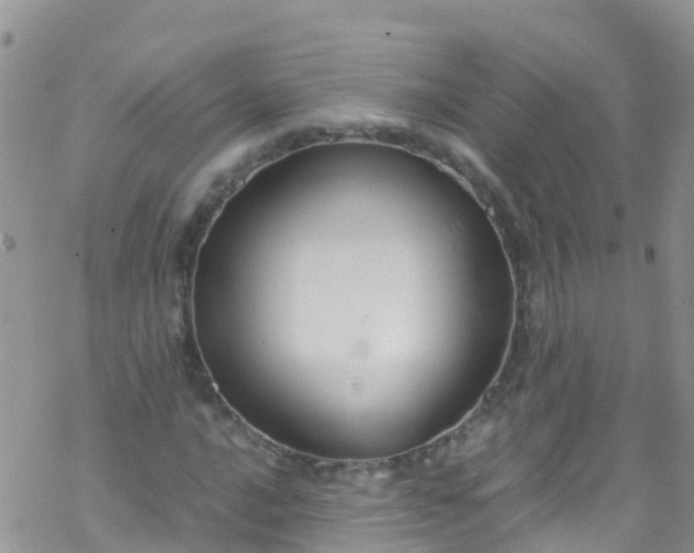 X0000069411016200605192258