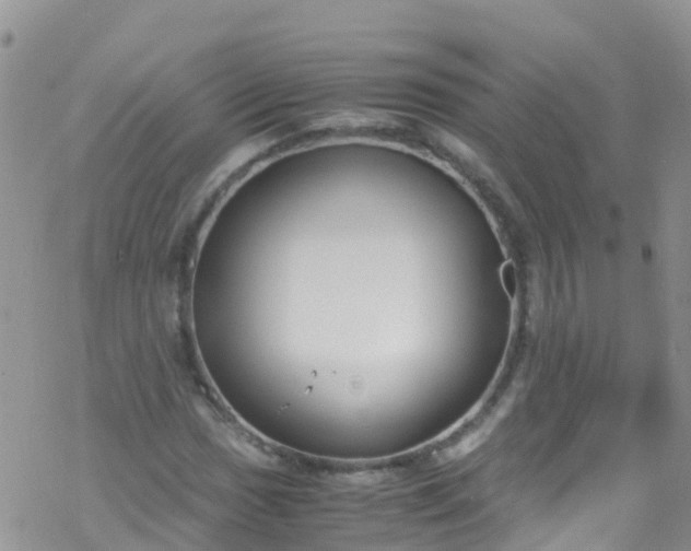 X0000069411017200605192258