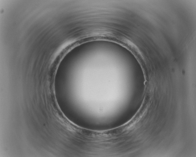 X0000069411019200605192258