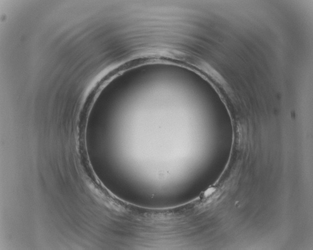 X0000069411020200605192258