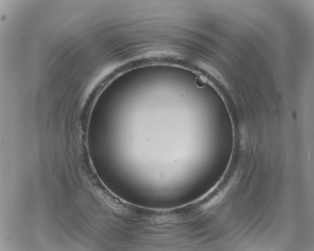 X0000069411021200605192258