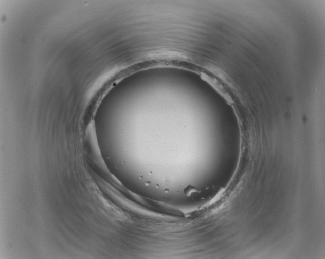 X0000069411022200605192258