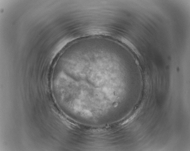 X0000069411023200605192259