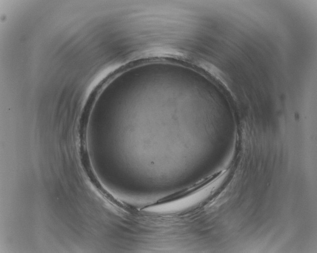 X0000069411024200605192259