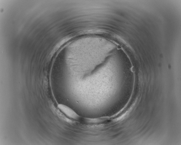 X0000069411025200605192259