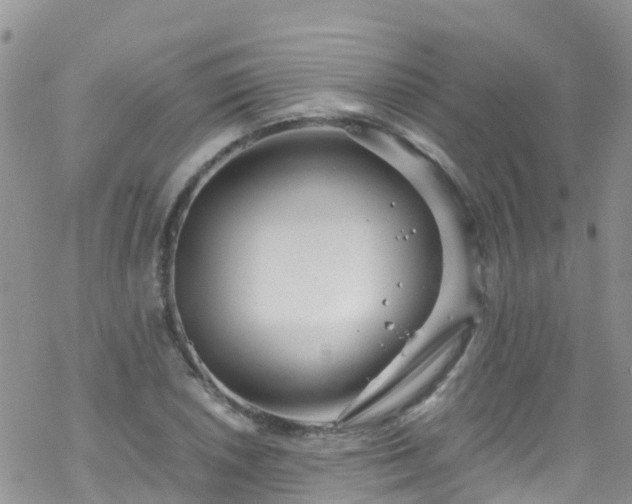 X0000069411026200605192259