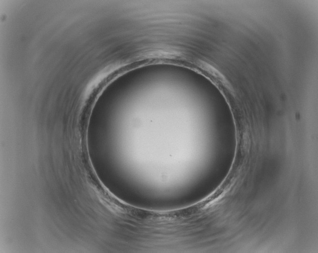 X0000069411027200605192259