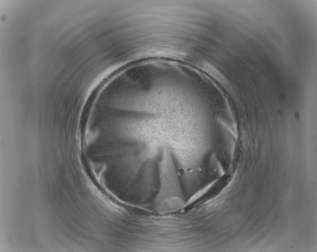 X0000069411028200605192259