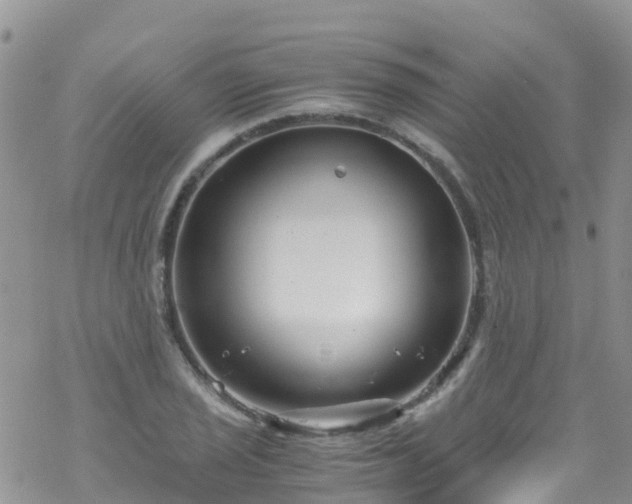 X0000069411029200605192259