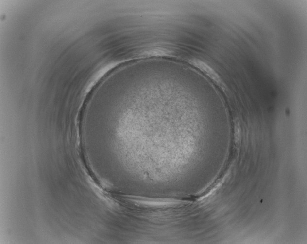 X0000069411031200605192259