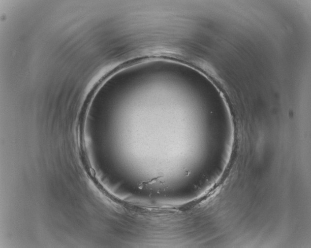 X0000069411032200605192259