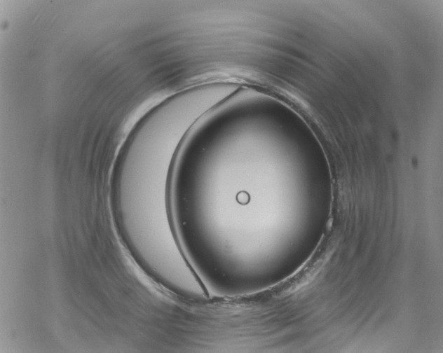 X0000069411034200605192259