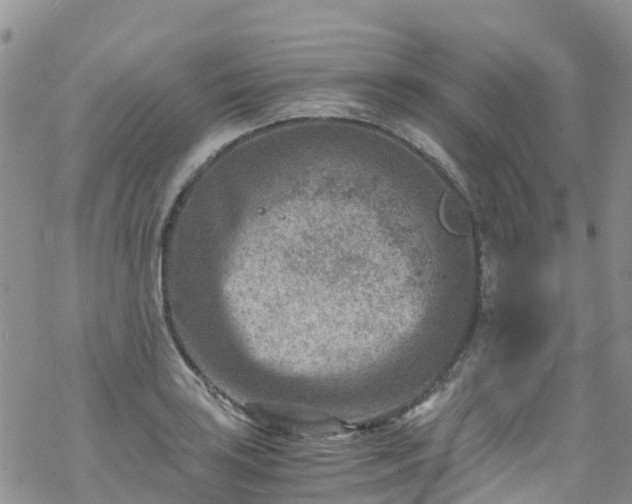 X0000069411035200605192259