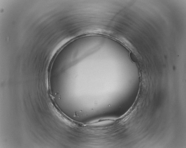 X0000069411036200605192259