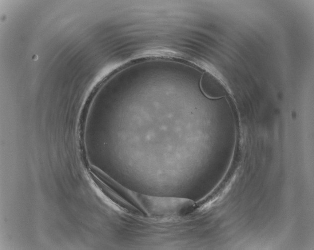 X0000069411037200605192259