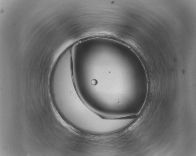 X0000069411038200605192259