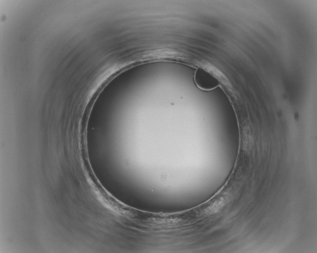 X0000069411039200605192259