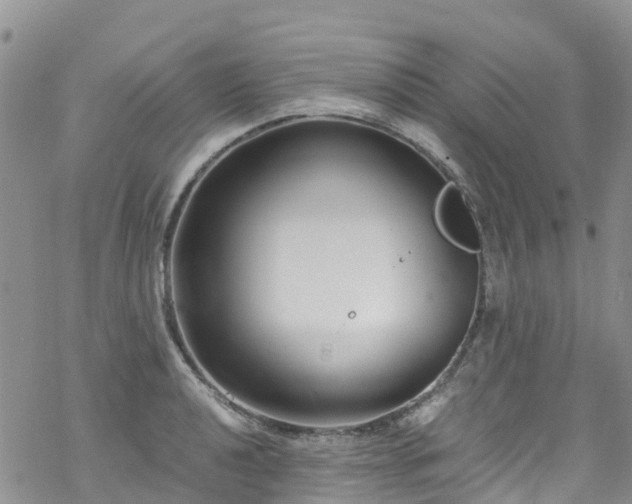 X0000069411040200605192259