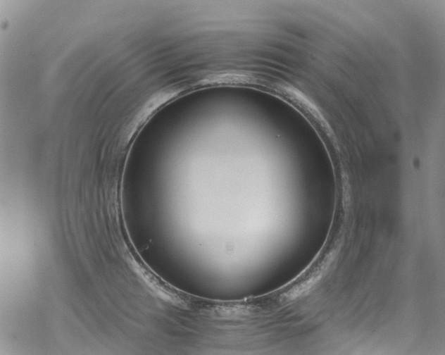 X0000069411041200605192259