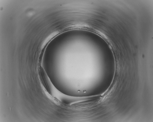 X0000069411042200605192259