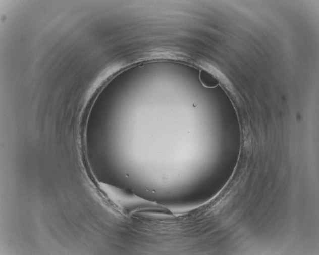 X0000069411043200605192259