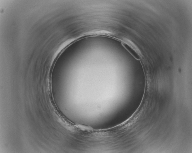 X0000069411044200605192259