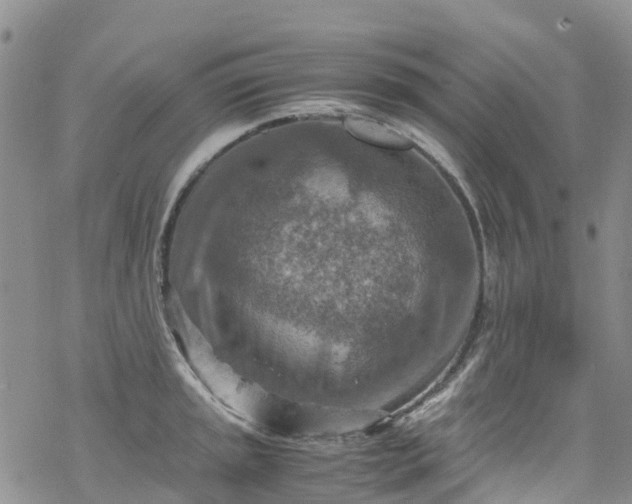 X0000069411045200605192259