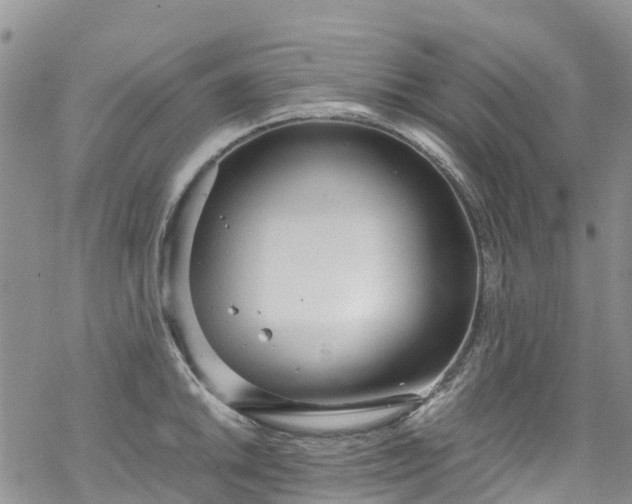 X0000069411046200605192259