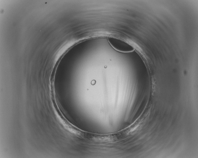 X0000069411047200605192259