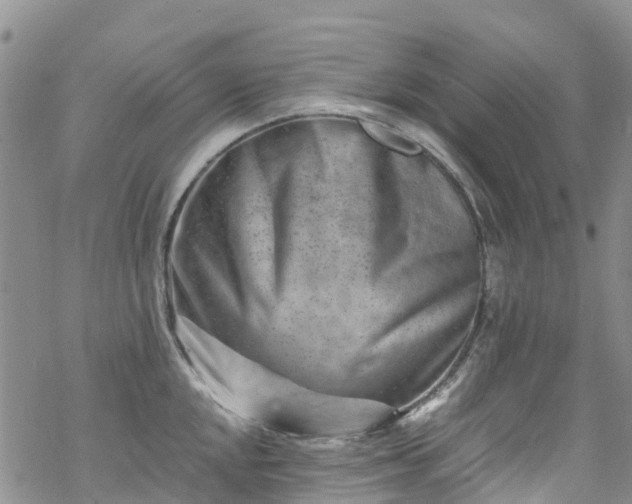 X0000069411048200605192259