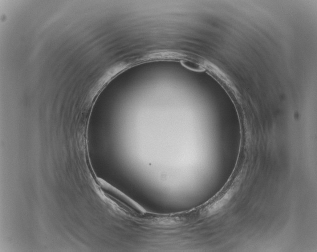 X0000069411049200605192259