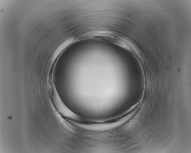 X0000069411050200605192259