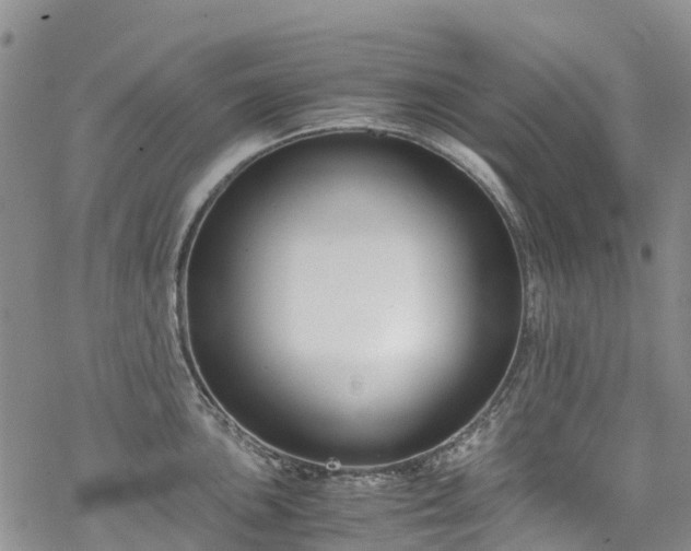 X0000069411051200605192259