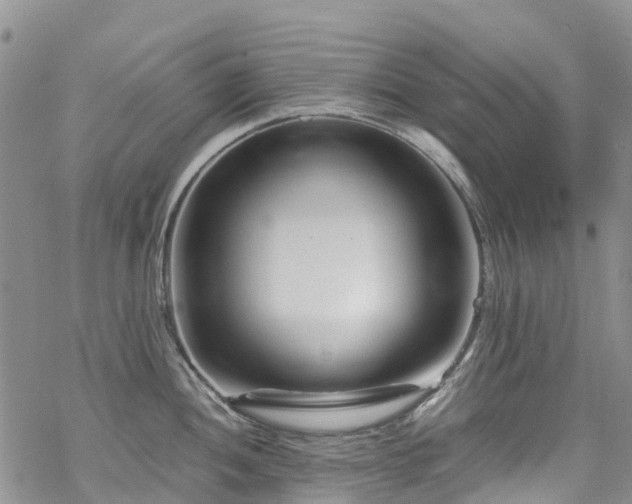 X0000069411052200605192259