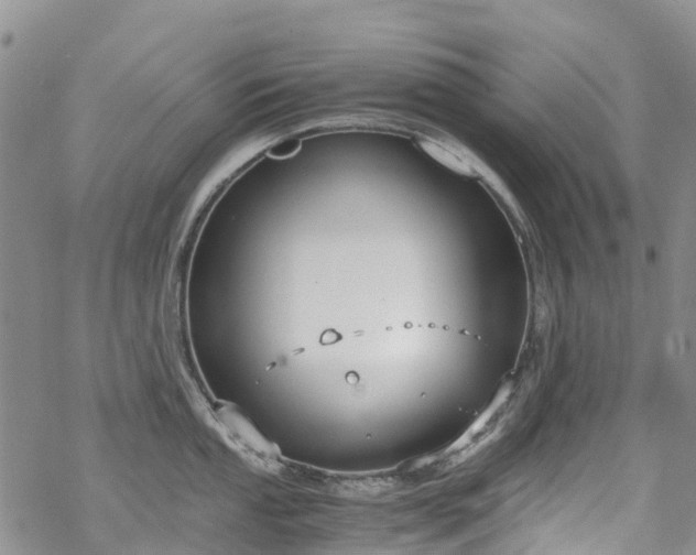 X0000069411053200605192259