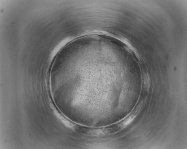 X0000069411054200605192259