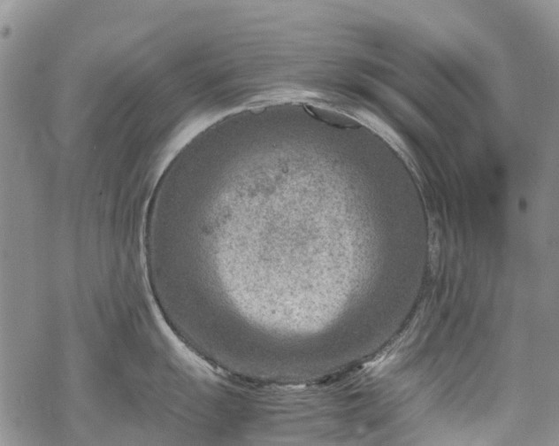 X0000069411055200605192259