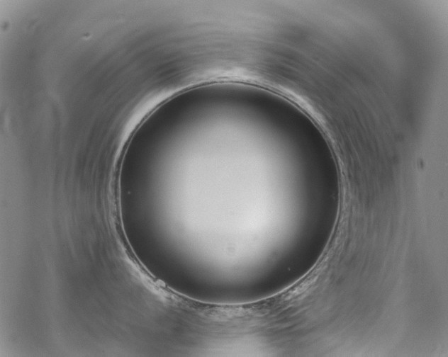 X0000069411056200605192259