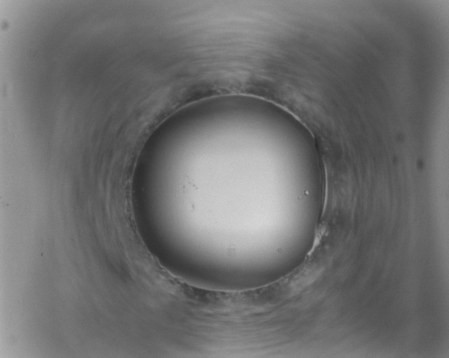 X0000069411057200605192258